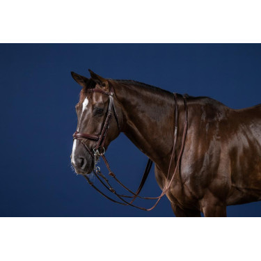 Bride Muserolle Combinée New English Collection by Dy'on Brun