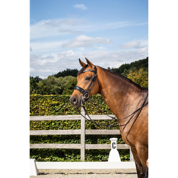 Briglia Capezzina Large Mat Dy'on