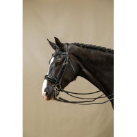 Briglia con Chiusura Francese Large Verniciata Working di Dy'on Nero