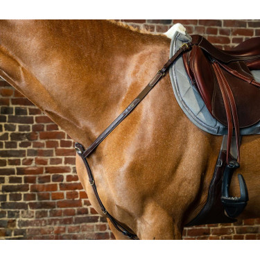 Pettorale D Collection by Dy'on Marrone