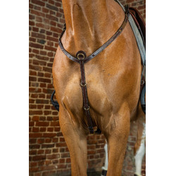 Pettorale D Collection by Dy'on Marrone