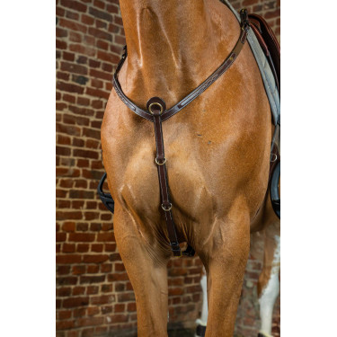 Pettorale D Collection by Dy'on Marrone