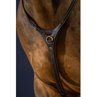Collezione Yoke D di Dy'on Marrone