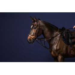 Forchetta Howlett D Collection by Dy'on