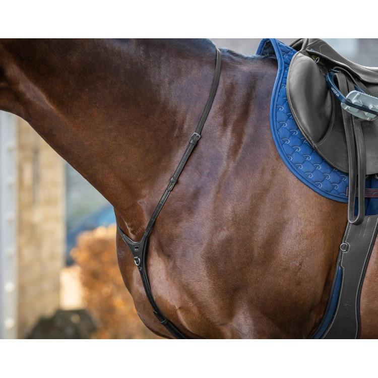 Collezione New English Yoke di Dy'on