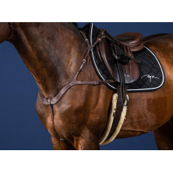 Pettorale Anatomico US Collection by Dy'on