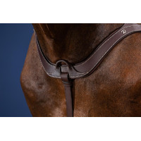 Pettorale Anatomico US Collection by Dy'on Nero Pettorale Anatomico US Collection by Dy'on Nero