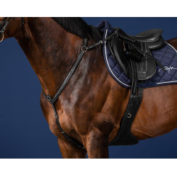 Pettorale con ponte US Collection by Dy'on