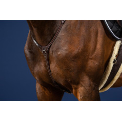 Collezione Yoke US di Dy'on Marrone