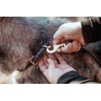 Guinzaglio Classico per Cane Dy'on Marrone