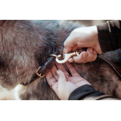Guinzaglio Classico per Cane Dy'on Guinzaglio Classico per Cane Dy'on