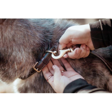 Guinzaglio Classico per Cane Dy'on Guinzaglio Classico per Cane Dy'on