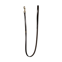 Guinzaglio Classico per Cane Dy'on Marrone