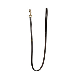 Guinzaglio Classico per Cane Dy'on Marrone