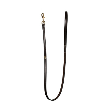 Guinzaglio Classico per Cane Dy'on Marrone