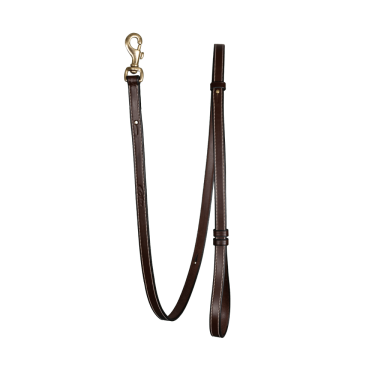 Guinzaglio Regolabile per Cane Dy'on Marrone