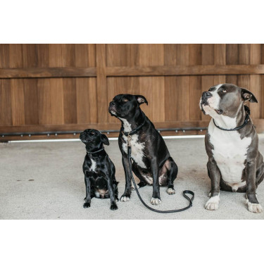 Guinzaglio intrecciato per cane Dy'on Nero