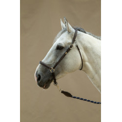 Capestro da toelettatura Working by Dy'on