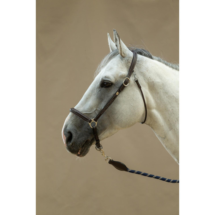 Capestro da toelettatura Working by Dy'on