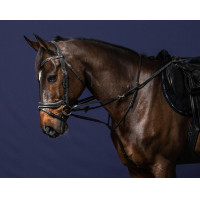 Enrenamento Howlett Working By Dy'on Nero Enrenamento Howlett Working By Dy'on Nero