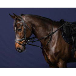 Enrenamento Howlett Working By Dy'on Enrenamento Howlett Working By Dy'on