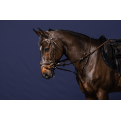 Enrenamento Howlett Working By Dy'on Enrenamento Howlett Working By Dy'on