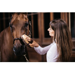 Spazzola morbida con setole delicate Grooming Deluxe by Kentucky Spazzola morbida con setole delicate Grooming Deluxe by Kentucky