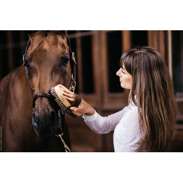 Spazzola morbida con setole delicate Grooming Deluxe by Kentucky Spazzola morbida con setole delicate Grooming Deluxe by Kentucky