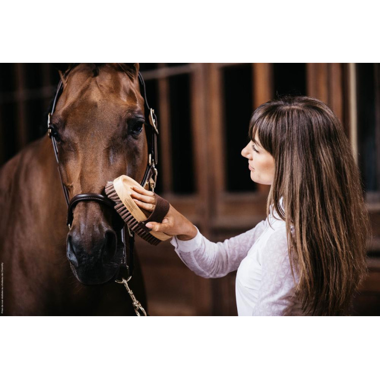 Spazzola morbida con setole delicate Grooming Deluxe by Kentucky Spazzola morbida con setole delicate Grooming Deluxe by Kentucky