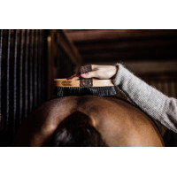 Spazzola morbida con setole dure Grooming Deluxe by Kentucky Marrone
