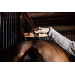 Spazzola morbida con setole dure Grooming Deluxe by Kentucky
