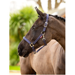 Capestro in neoprene LeMieux Essential Yard Capestro in neoprene LeMieux Essential Yard