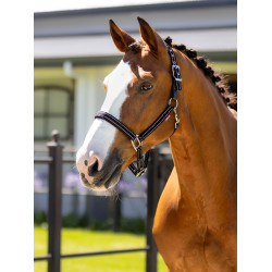 Capestro in neoprene LeMieux Essential Yard Nero