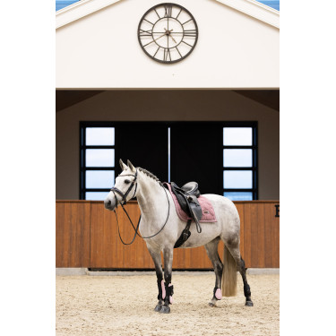 Paranocche Imperial Riding Lovely Paranocche Imperial Riding Lovely
