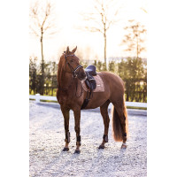 Paranocche Imperial Riding Lovely Cappuccino Marrone