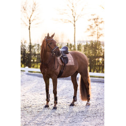 Paranocche Imperial Riding Lovely Cappuccino Marrone Paranocche Imperial Riding Lovely Cappuccino Marrone