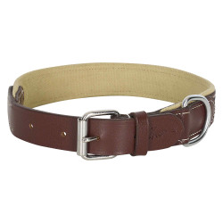 Collare per cane HV Polo Iconic