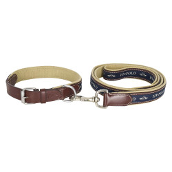 Collare per cane HV Polo Iconic Collare per cane HV Polo Iconic
