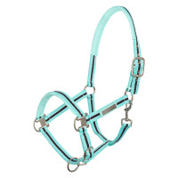 Licol HV Polo Classic Stripe Bleu marine