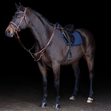 Martingala HV Polo Legacy Marrone