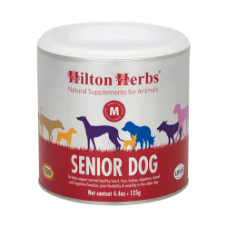 Cane anziano Hilton Herbs Cane anziano Hilton Herbs