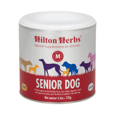 Cane anziano Hilton Herbs Cane anziano Hilton Herbs