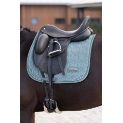 Sottosella Imperial Riding Sky DR Sottosella Imperial Riding Sky DR