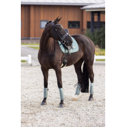 Sottosella Imperial Riding Sky DR Sottosella Imperial Riding Sky DR