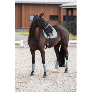 Sottosella Imperial Riding Sky DR Sottosella Imperial Riding Sky DR