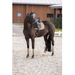 Sottosella Imperial Riding Sky DR Cappuccino Marrone