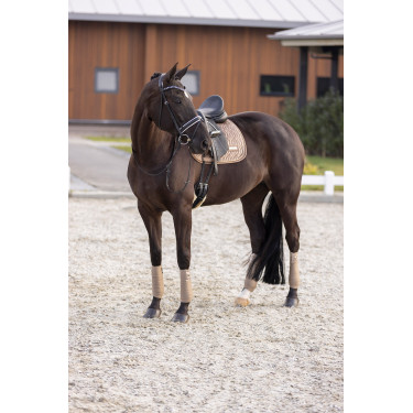 Sottosella Imperial Riding Sky DR Cappuccino Marrone