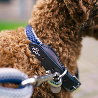 Collare per cane HV Polo Franka Rope Collare per cane HV Polo Franka Rope