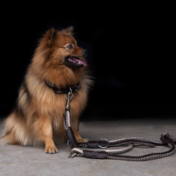 Collare per cane HV Polo Franka Rope Marrone / beige