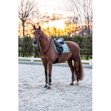 Ghette Imperial Riding Lovely Verde salvia Ghette Imperial Riding Lovely Verde salvia